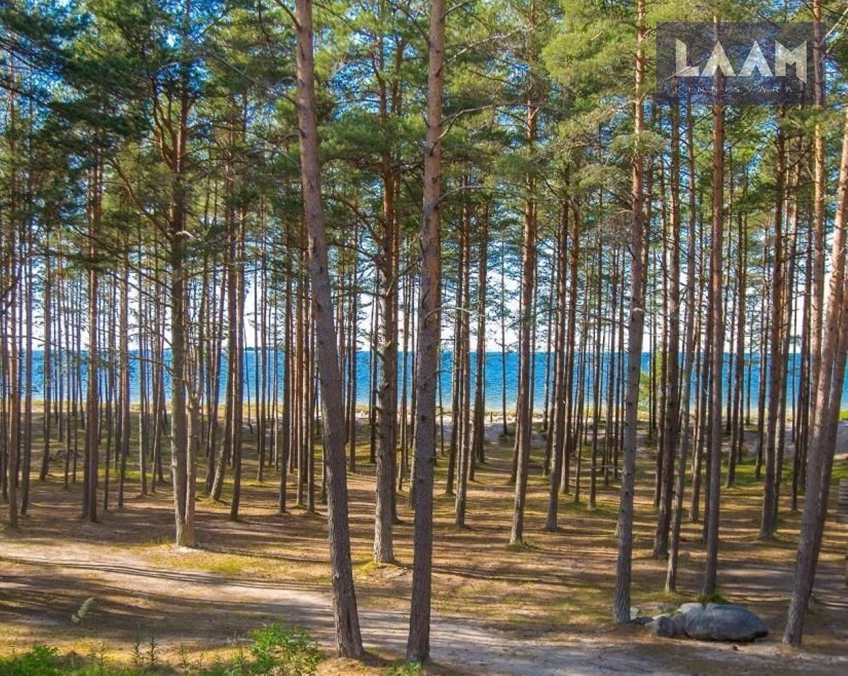 Harju maakond, Kuusalu vald, Salmistu küla, Rannasalu tee — 5